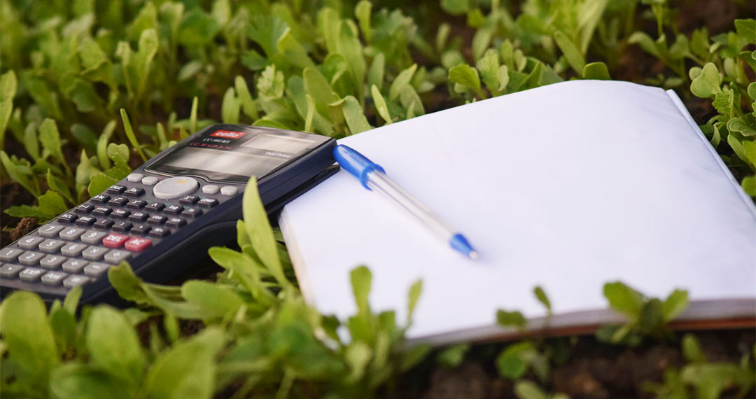 Budget Planning for the New Year